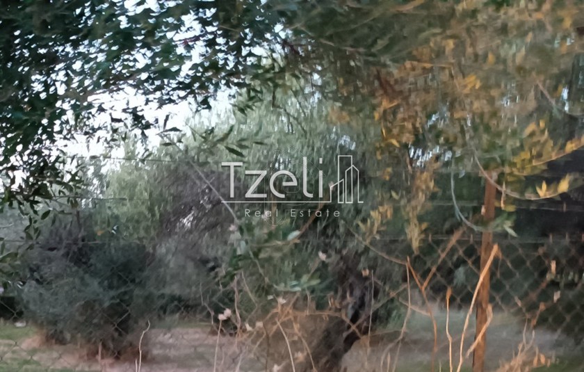 Land plot 2.000sqm for sale-Paralia » Rogitika