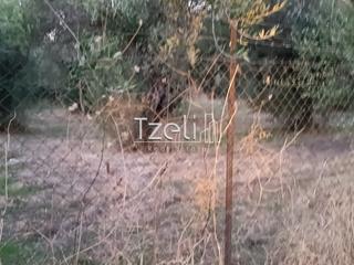 Οικόπεδο 2.000 τ.μ. για πώληση, Αχαΐα, Παραλία-thumb-3