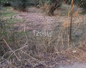 Οικόπεδο 2.000 τ.μ. για πώληση, Αχαΐα, Παραλία-thumb-6
