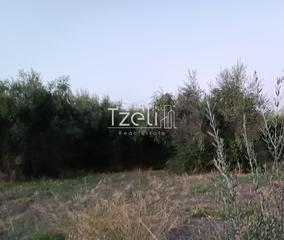 Οικόπεδο 2.000 τ.μ. για πώληση, Αχαΐα, Παραλία-thumb-7