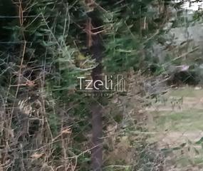 Οικόπεδο 2.000 τ.μ. για πώληση, Αχαΐα, Παραλία-thumb-11
