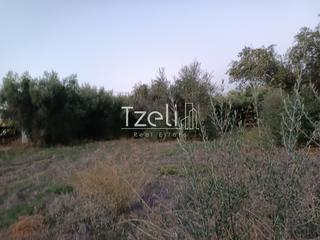 Οικόπεδο 2.000 τ.μ. για πώληση, Αχαΐα, Παραλία-thumb-14