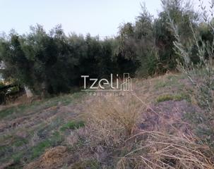Οικόπεδο 2.000 τ.μ. για πώληση, Αχαΐα, Παραλία-thumb-15