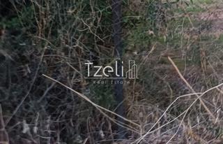 Οικόπεδο 2.000 τ.μ. για πώληση, Αχαΐα, Παραλία-thumb-16