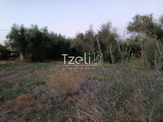 Οικόπεδο 2.000 τ.μ. για πώληση, Αχαΐα, Παραλία-thumb-17