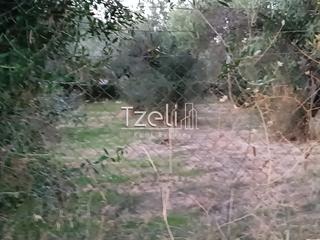 Οικόπεδο 2.000 τ.μ. για πώληση, Αχαΐα, Παραλία-thumb-18
