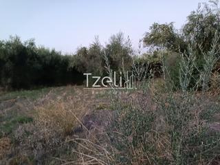 Οικόπεδο 2.000 τ.μ. για πώληση, Αχαΐα, Παραλία-thumb-24