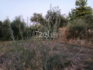Οικόπεδο 2.000 τ.μ. για πώληση, Αχαΐα, Παραλία-thumb-26