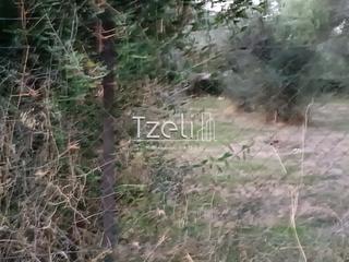 Οικόπεδο 2.000 τ.μ. για πώληση, Αχαΐα, Παραλία-thumb-27