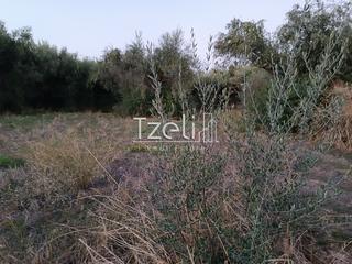 Οικόπεδο 2.000 τ.μ. για πώληση, Αχαΐα, Παραλία-thumb-28