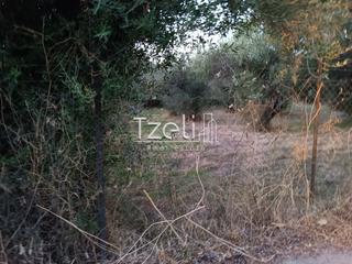Οικόπεδο 2.000 τ.μ. για πώληση, Αχαΐα, Παραλία-thumb-29