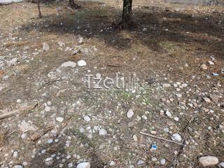 Οικόπεδο 2.500 τ.μ. για πώληση, Αχαΐα, Καλάβρυτα-thumb-7