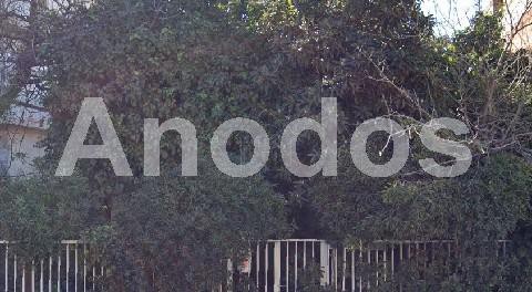Οικόπεδο 418τ.μ. για πώληση-Χαλάνδρι » Κέντρο