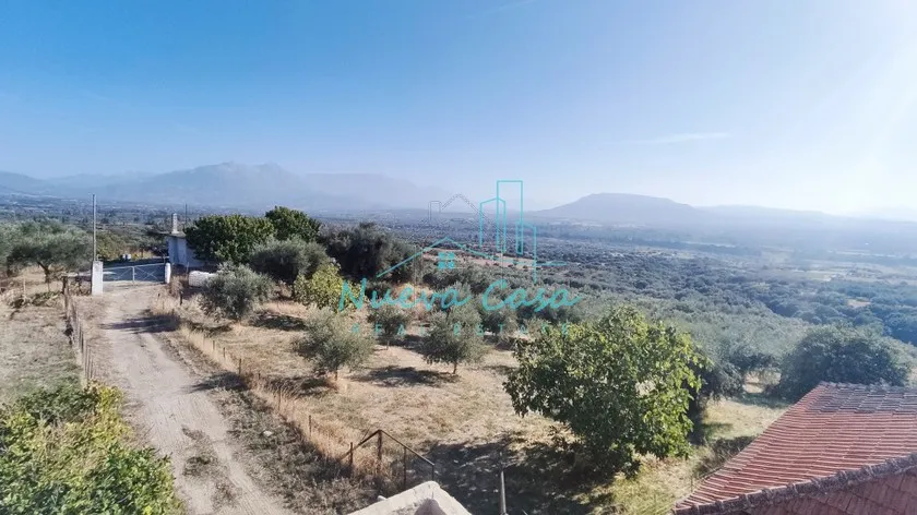 Land plot 5.000 sqm for sale, Evia, Lilantio