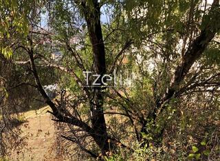 Οικόπεδο 600 τ.μ. για πώληση, Αχαΐα, Πάτρα-thumb-14
