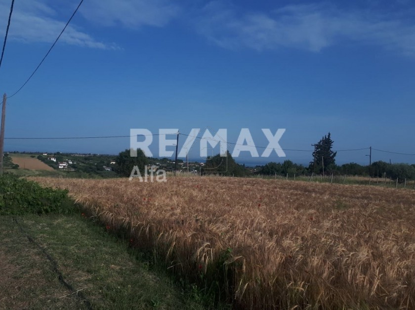 Αγροτεμάχια 14.800τ.μ. για πώληση-Θερμαϊκός » Νέοι επιβάτες
