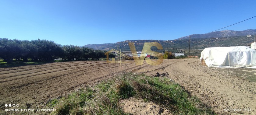 Land plot 2.000 sqm for sale, Heraklion Prefecture, Nikos Kazantzakis