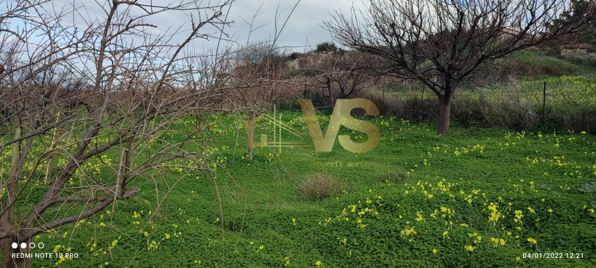 Οικόπεδο 2.650τ.μ. για πώληση-Ηράκλειο κρήτης » Αθάνατοι