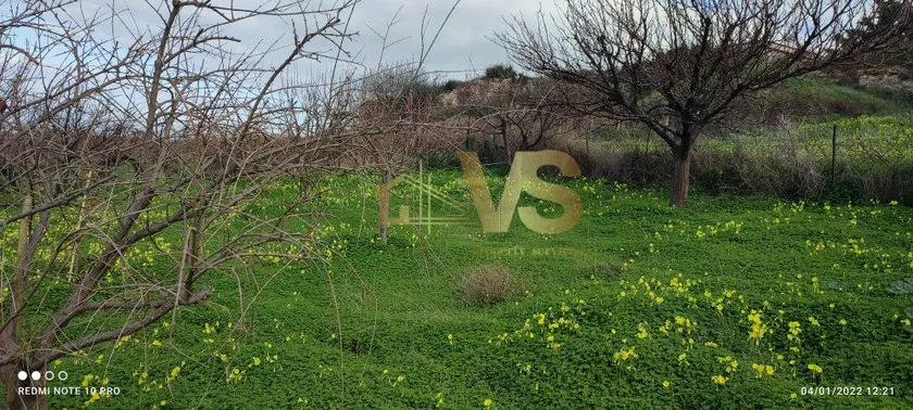 Land plot 2.650 sqm for sale, Heraklion Prefecture, Heraclion Cretes