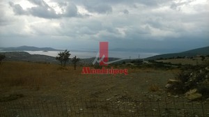 Αγροτεμάχια 8.150τ.μ. για πώληση-Στύρα » Νέα στύρα