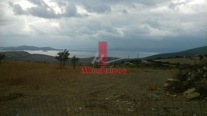 Αγροτεμάχια 8.150 τ.μ. για πώληση, Εύβοια, Στύρα