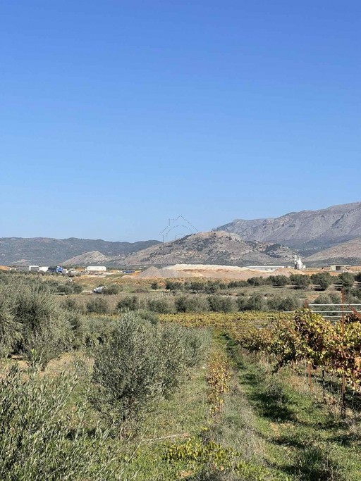 Οικόπεδο 2.000 τ.μ. για πώληση