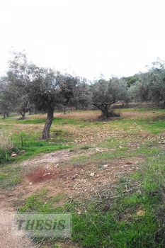 Parcel 4.000sqm for sale-Keratea » Sakka