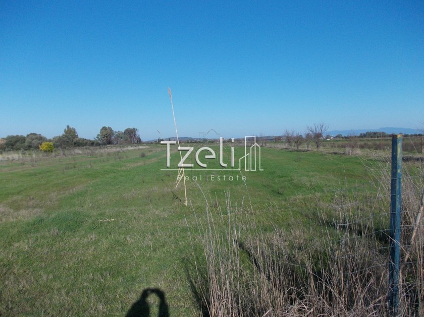 Land plot 5.500sqm for sale-Dytikis Achaias » Niforeika