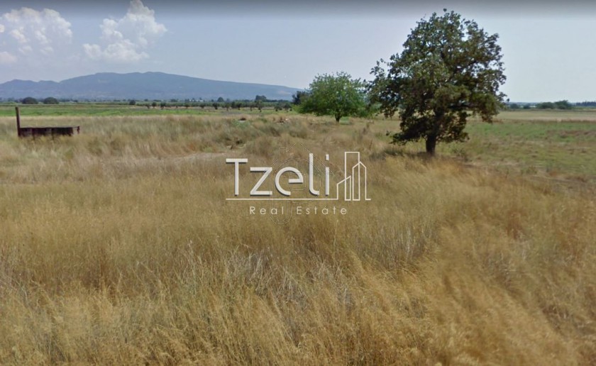 Land plot 5.500sqm for sale-Movri » Sageika