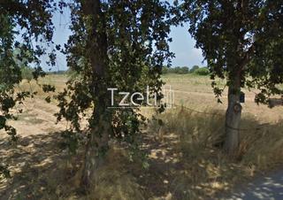 Οικόπεδο 5.500 τ.μ. για πώληση, Αχαΐα, Μόβρη-thumb-3