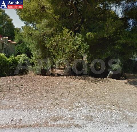 Οικόπεδο 1.280 τ.μ. για πώληση