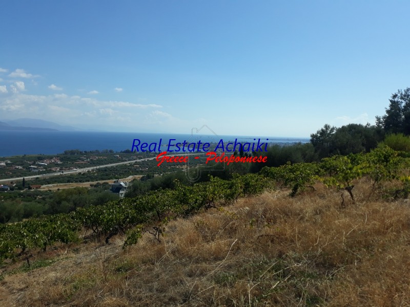 Οικόπεδο 4.000 τ.μ. για πώληση
