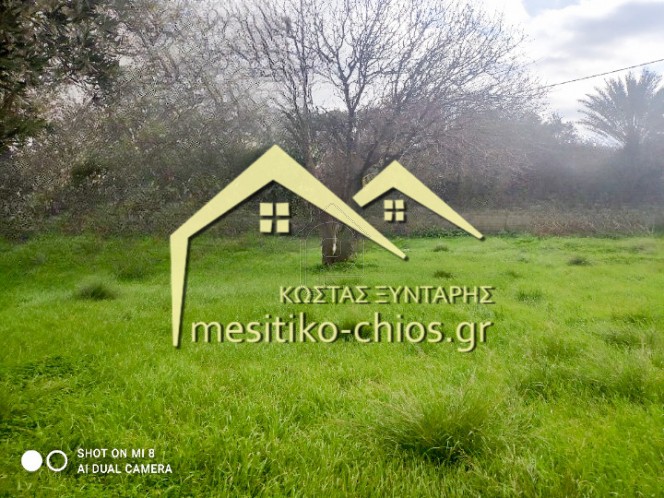 Οικόπεδο 359τ.μ. για πώληση-Χίος » Ομηρούπολη