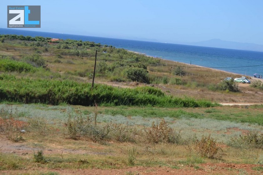 Οικόπεδο 4.100 τ.μ. για πώληση, Αχαΐα, Λάρισσος