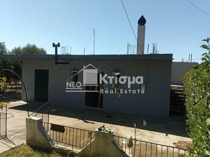 Μονοκατοικία 104 τ.μ. πρός πώληση, Ν. Ηλείας, Βώλακας