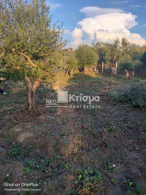 Parcel 1.780sqm for sale-Pirgos » Kato Varvasaina