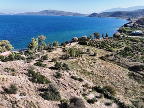 Land plot 9.032sqm for sale-Trizina » Kalloni