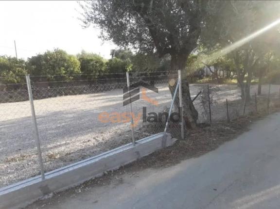 Οικόπεδο 1.000 τ.μ. για πώληση, Αχαΐα, Μεσσατίδα