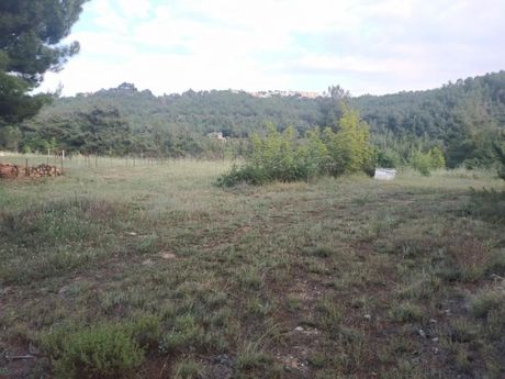 Αγροτεμάχια 4.500τ.μ. για πώληση-Πανόραμα » Οικισμός τοπογράφων