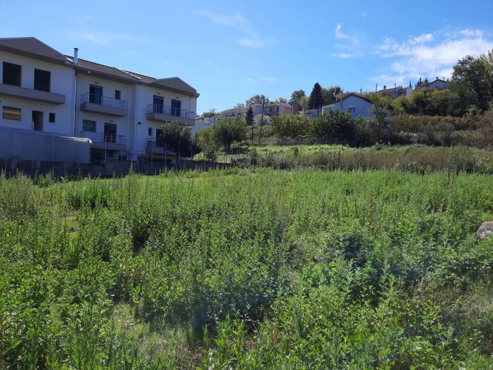 Οικόπεδο 493 τ.μ. πρός πώληση, Ν. Ιωαννίνων, Πασσαρώνα