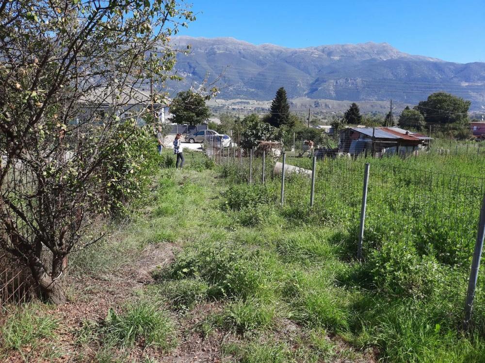 Οικόπεδο 493 τ.μ. πρός πώληση, Ν. Ιωαννίνων, Πασσαρώνα