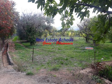 Οικόπεδο 3.540τ.μ. για πώληση-Αίγιο » Διγελιώτικα