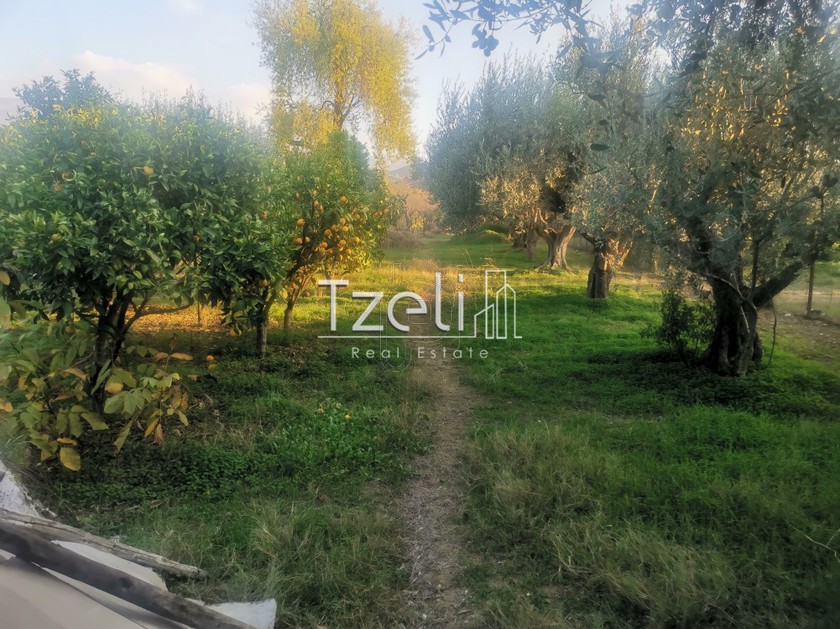 Οικόπεδο 649 τ.μ. για πώληση