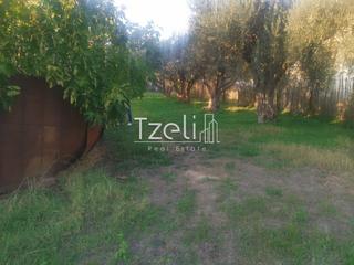 Οικόπεδο 649 τ.μ. για πώληση, Αχαΐα, Πάτρα-thumb-29
