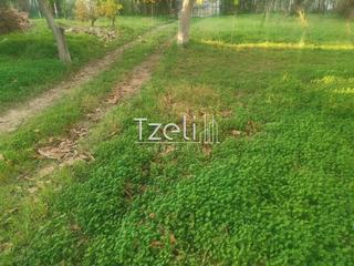 Οικόπεδο 597 τ.μ. για πώληση