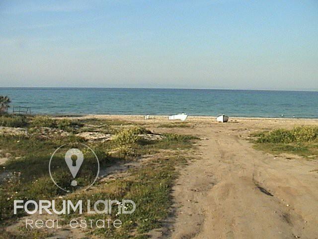 Αγροτεμάχια 9.080 τ.μ. προς πώληση, Χανιώτης