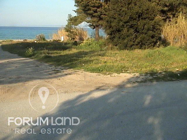 Αγροτεμάχια 9.080 τ.μ. προς πώληση, Χανιώτης