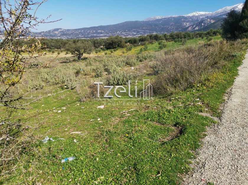 Land plot 13.000sqm for sale-Messatida » Ligies