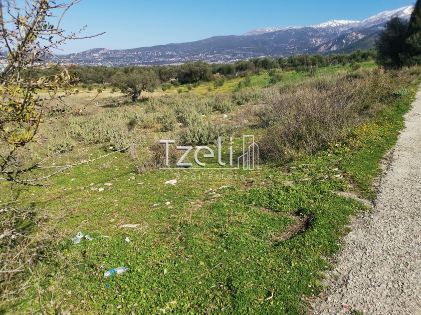 Land plot 13.000 sqm for sale, Achaia, Messatida