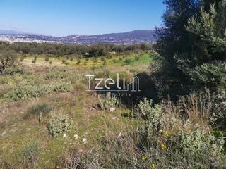 Οικόπεδο 13.000 τ.μ. για πώληση, Αχαΐα, Μεσσατίδα-thumb-3